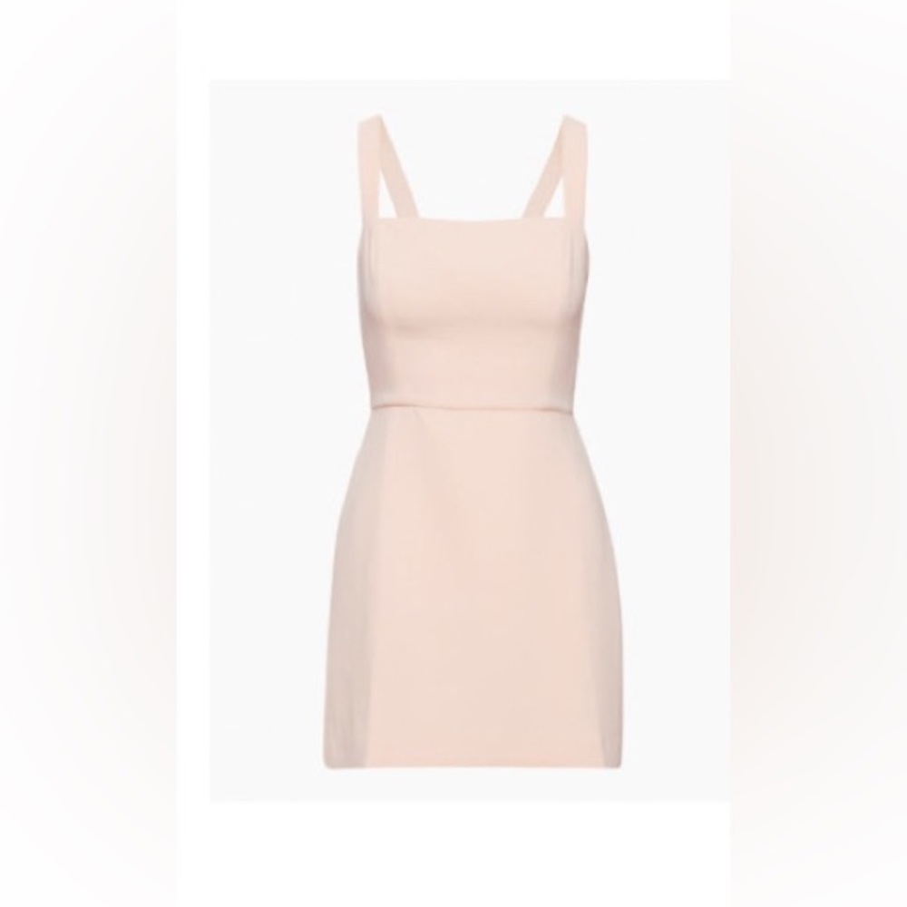 Aritzia Blush Mini Dress